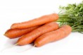 /album/legumes/carottes-jpg/